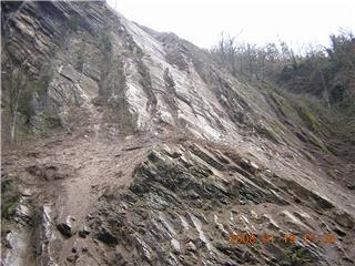 Falaise scurise - Janvier 2008